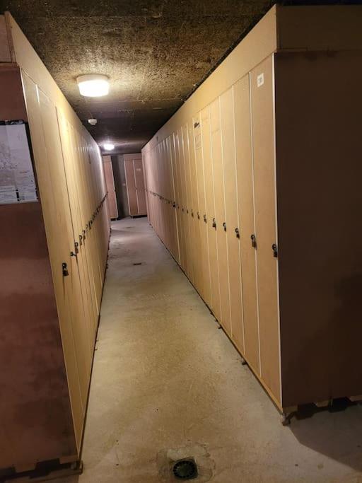 Le Duplex, Superbe Cocon Au Coeur Des Rousses, Tout Confort 5 Pers, Draps Inclus Ле-Русс Екстер'єр фото
