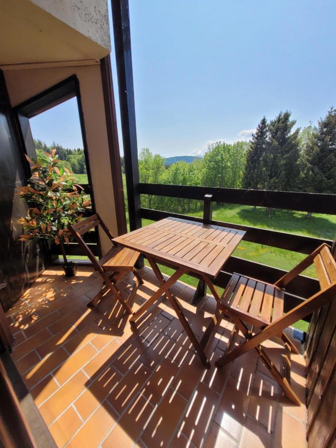 Le Duplex, Superbe Cocon Au Coeur Des Rousses, Tout Confort 5 Pers, Draps Inclus Ле-Русс Екстер'єр фото