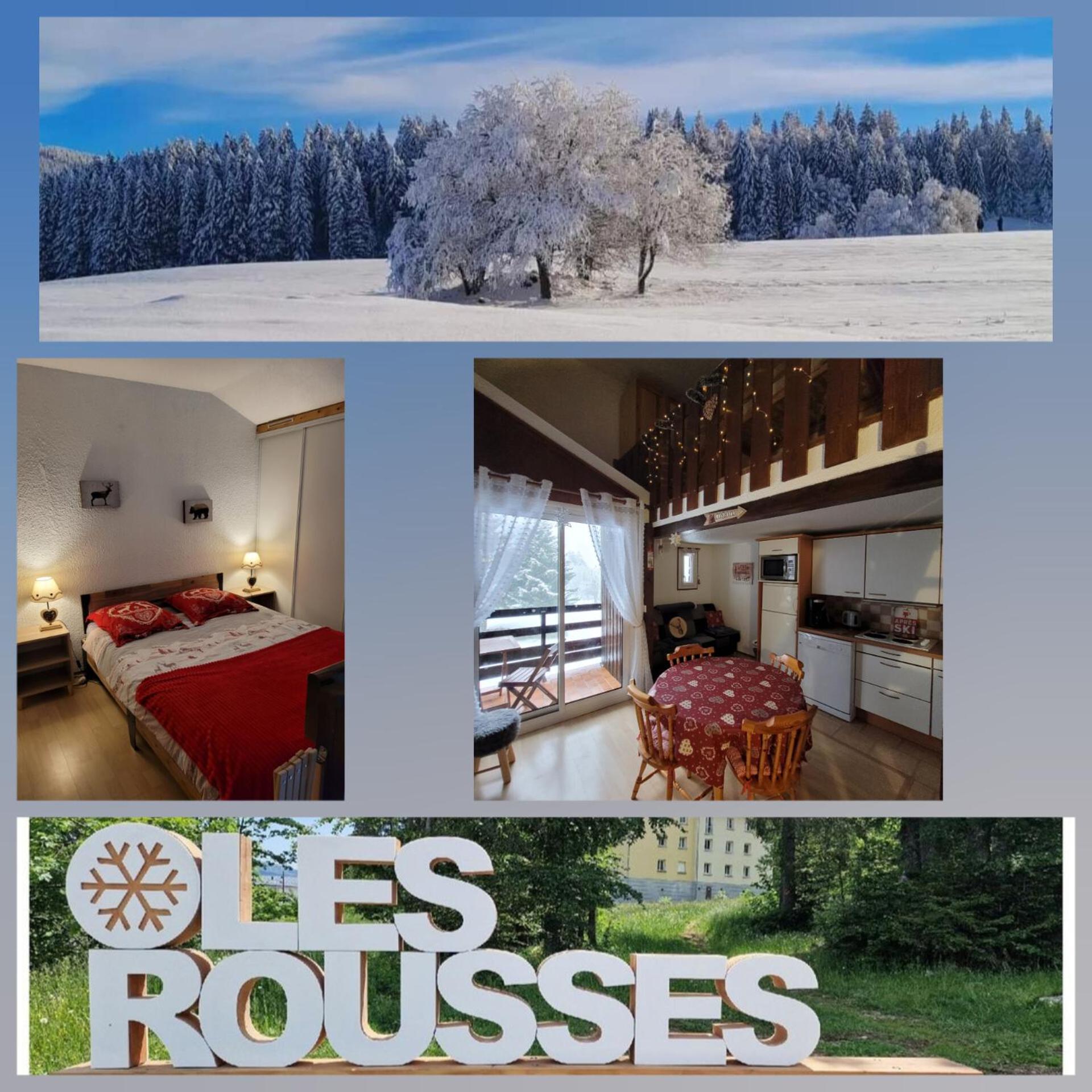 Le Duplex, Superbe Cocon Au Coeur Des Rousses, Tout Confort 5 Pers, Draps Inclus Ле-Русс Екстер'єр фото
